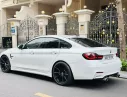 BMW 428i 2014 - BMW 428i 2014 ( 689tr bao rút gốc, còn thương lượng )
