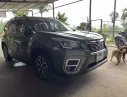 Hãng khác Khác 2022 -  BÁN XE SUBARU FORESTER 2.0i – NHẬP KHẨU 
