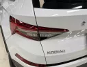 Hãng khác Khác 2024 - Chính chủ bán xe Skoda sản xuất năm 2024
