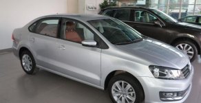 Volkswagen Polo   2016 - Bán ô tô Volkswagen Polo năm 2016, màu bạc, nhập khẩu, 759tr giá 759 triệu tại Nghệ An