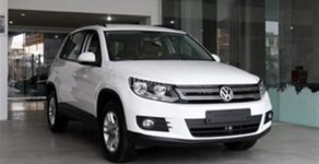 Volkswagen Tiguan 2014 - Cần bán lại xe Volkswagen Tiguan đời 2014, màu trắng, số tự động giá 1 tỷ 459 tr tại Hà Nội