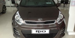 Kia Rio 2015 - Cần bán xe Kia Rio năm 2015, màu nâu, xe nhập, giá chỉ 610 triệu giá 610 triệu tại Bạc Liêu