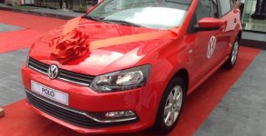 Volkswagen Polo   6AT 2016 - Bán Volkswagen Polo Hatchback 6AT đời 2015, màu đỏ, nhập khẩu chính hãng, LH 0901.941.899 giá 662 triệu tại Quảng Bình
