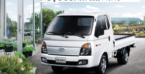 Hyundai H 100 2017 - Cần bán xe Hyundai H 100 mới sản xuất 2017, màu trắng - LH Ngọc Sơn: 0911.377.773 giá 317 triệu tại Đà Nẵng