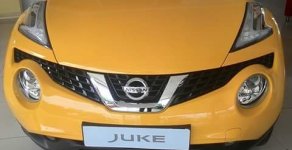 Nissan Juke 2015 - Bán ô tô Nissan Juke đời 2015, liên hệ 9339163442, nhập khẩu, cùng chương trình siêu khuyến mãi về giá giá 1 tỷ 60 tr tại Bình Dương
