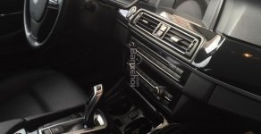 BMW 5 Series 520i 2014 - Chính chủ cần bán xe BMW 520 i đời 2014 mau đen giá 1 tỷ 750 tr tại Khánh Hòa