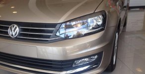 Volkswagen Polo 2016 - Bán xe Volkswagen Polo đời 2016, màu nâu, nhập khẩu, giá tốt giá 779 triệu tại An Giang