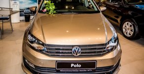 Volkswagen Polo GP 2016 - Bán ô tô Volkswagen Polo GP năm 2016, màu nâu, xe nhập, 699 triệu. LH: 0978877754 Ms Phượng nhận giá tốt nhất giá 699 triệu tại An Giang
