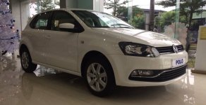 Volkswagen Polo   6AT 2016 - Cần bán xe Volkswagen Polo  6AT đời 2016, màu trắng, nhập khẩu chính hãng giá 716 triệu tại Quảng Bình