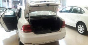 Volkswagen Polo 2015 - Cần bán xe Volkswagen Polo đời 2015, màu trắng, nhập khẩu, giá xe volkswagen Polo giá 650 triệu tại Đắk Lắk