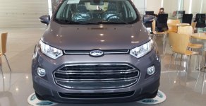 Ford EcoSport Trend 2015 - Bán Ford EcoSport Trend đời mới, giá thương lượng giá 550 triệu tại Hà Nội