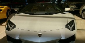 Lamborghini Huracan 2016 - Salon Ôtô Gia Khánh cần bán xe Lamborghini Huracan sản xuất 2016, màu trắng giá 26 tỷ tại Đà Nẵng