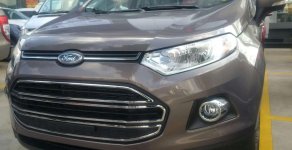 Ford EcoSport 2016 - Bán ô tô Ford EcoSport sản xuất 2016, màu xám giá 620 triệu tại Tiền Giang