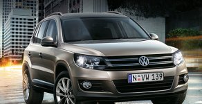 Volkswagen Tiguan 2015 - Bán Volkswagen Tiguan SUV đẳng cấp, lịch lãm, cuốn hút mọi ánh nhìn, giao toàn quốc giá 1 tỷ 499 tr tại Tp.HCM