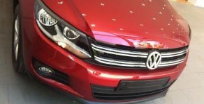 Volkswagen Tiguan 2015 - SUV Tiguan 2.0 TSI gọi ngay Linh 0903109750 ưu đãi 30tr, bảo dưỡng, dán phim giá 1 tỷ 499 tr tại Bình Dương