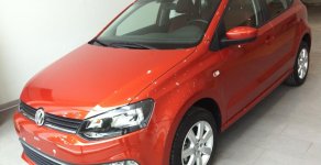 Volkswagen Polo 2016 - Trao xe gửi quà 1 năm bảo dưỡng, dán phim 3M cho xe Polo 1.6 gọi Miss Linh 0903109750 nhé quý khách giá 740 triệu tại An Giang