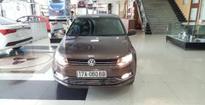 Volkswagen Polo 2015 - Bán Volkswagen Polo đời 2015, màu nâu giá 635 triệu tại Hải Phòng