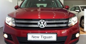 Volkswagen Tiguan 2.0 TSI 2016 - Khởi đầu đẳng cấp Châu Âu chỉ 662tr với Volkswagen Polo Hatchback AT màu xanh, nhập khẩu giá 662 triệu tại TT - Huế