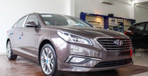 Hyundai Sonata AT 2016 - Bán Hyundai Sonata AT sản xuất 2016, màu nâu, xe nhập  giá 999 triệu tại Nam Định