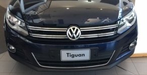Volkswagen Tiguan 2.0 TSI 4 Motion  2016 - Cần bán xe Volkswagen Tiguan 2.0 năm 2016, màu xanh lam, nhập khẩu giá 1 tỷ 290 tr tại Kon Tum