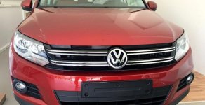 Volkswagen Tiguan   2016 - Bán Volkswagen Tiguan 2.0 TSI nhập Đức, mới 100% giá 1 tỷ 290 tr tại Quảng Ngãi