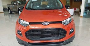 Ford EcoSport 2016 - Bán ô tô Ford EcoSport đời 2017, màu xám (ghi) giá 698 triệu tại Lai Châu