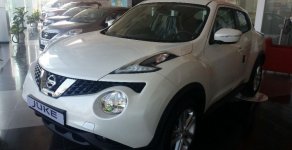 Nissan Juke CVT   2016 - Bán ô tô Nissan Juke CVT năm 2016, màu trắng  giá 1 tỷ 60 tr tại Hà Nội