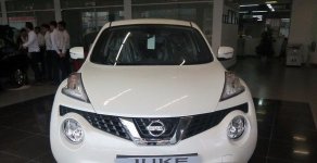 Nissan Juke 1.6L 2016 - Bán Nissan Juke 1.6L đời 2016, màu trắng, nhập khẩu giá 1 tỷ 60 tr tại Hà Nội