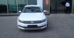 Volkswagen Passat S 2015 - VW-Volkswagen-The New Passat, cực chất Đức, kinh điển Châu Âu-LH 0915.999.363 giá 1 tỷ 288 tr tại Tp.HCM