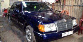 Mercedes-Benz E230 E230 1990 - Bán Mercedes E230 đời 1990, màu xanh lam, nhập khẩu chính hãng giá 115 triệu tại Tp.HCM