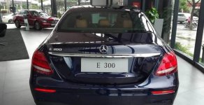 Mercedes-Benz E300   2016 - Bán ô tô Mercedes E300 sản xuất 2016, nhập khẩu nguyên chiếc giá 3 tỷ 49 tr tại Đà Nẵng