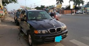 BMW X5 2.5MT 2002 - Bán ô tô BMW X5 2.5 mt đời 2002, màu đen, nhập khẩu chính hãng số tự động giá 295 triệu tại Bình Dương