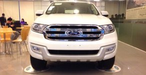 Ford Everest 2.2L 4x2 Titanium AT 2017 - Xe Ford Everest Titanium 2.2L nhập khẩu Thái Lan giá rẻ, hỗ trợ trả góp 80% tại Điện Biên giá 1 tỷ 265 tr tại Điện Biên
