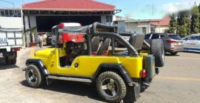 Jeep CJ 1980 - Cần bán gấp Jeep CJ đời 1980, màu vàng, nhập khẩu chính hãng giá 90 triệu tại Đắk Lắk