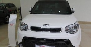 Kia Soul AT 2017 - Bán Kia Soul AT năm 2017, màu trắng, nhập khẩu nguyên chiếc, giá 755tr giá 755 triệu tại Hà Nội