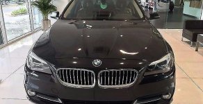 BMW 528i 2017 - BMW Hồ Chí Minh bán BMW 528i đời 2017, màu đen, nhập khẩu chính hãng giá 2 tỷ 752 tr tại Tp.HCM