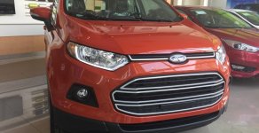 Ford EcoSport MT 2016 - Ford Ecosport 2016, số sàn chạy Uber & Grab giá 490 triệu tại Tp.HCM