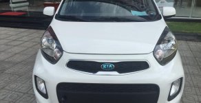 Kia Morning EXMT 2017 - Bán Kia Morning EX màu trắng, đủ màu, có sẵn xe, hỗ trợ vay 80% xe - LH: 0901.078.222 - Trường Quang giá 299 triệu tại Tp.HCM