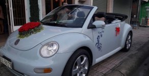 Volkswagen New Beetle 2004 - Cần bán xe Volkswagen New Beetle đời 2004, màu xanh lam, nhập khẩu nguyên chiếc giá 525 triệu tại Tp.HCM
