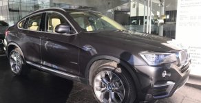 BMW X4 xDrive 20i 2017 - Bán BMW X4 xDrive 20i 2017, màu xám (ghi), nhập khẩu chính hãng giá 2 tỷ 688 tr tại Đà Nẵng