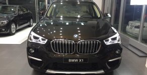 BMW X1 sDrive18i 2017 - Bán ô tô BMW X1 sDrive18i 2017, màu nâu, nhập khẩu chính hãng giá 1 tỷ 735 tr tại Đà Nẵng