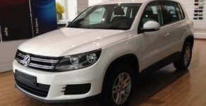 Volkswagen Tiguan 2016 - Bán Volkswagen Tiguan đời 2016, màu trắng, nhập khẩu nguyên chiếc. LH: 0931416628 giá 1 tỷ 290 tr tại Đồng Nai
