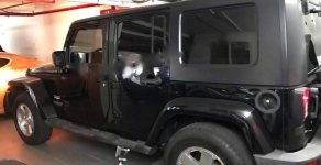 Jeep Wrangler Rubicon. 2010 - Bán Jeep Wrangler Rubicon năm 2010, màu đen, xe nhập  giá 1 tỷ 300 tr tại Hà Nội