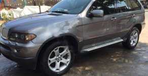 BMW X5 2004 - Bán ô tô BMW X5 sản xuất 2004, màu xanh lam, nhập khẩu nguyên chiếc số tự động, giá 435tr giá 435 triệu tại Bình Dương