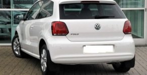 Volkswagen Polo 2016 - Nhận ngay ưu đãi lớn khi mua Polo, nhập chính hãng, giá tốt, liên hệ Xuân Liên 0963 241 349 giá 740 triệu tại An Giang