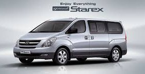Hyundai Starex 2017 - Bán ô tô Hyundai Starex 2017, xe nhập, 955tr giá 955 triệu tại Bình Định
