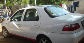 Fiat Albea   2007 - Bán xe cũ Fiat Albea đời 2007, màu trắng, giá chỉ 132 triệu giá 132 triệu tại Đắk Lắk