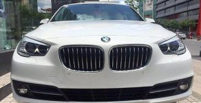 BMW 528i Gran Turismo 2017 - Cần bán xe BMW 528i Gran Turismo đời 2017, màu trắng, nhập khẩu chính hãng giá 2 tỷ 989 tr tại Tp.HCM