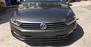 Volkswagen Passat GP 2016 - Đánh giá xe Volkswagen Passat GP, màu nâu, nhập khẩu Đức, tặng BHVC+ 3M. LH Hương: 0902.608.293 giá 1 tỷ 450 tr tại Tp.HCM