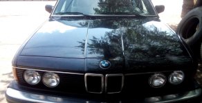 BMW 5 Series 1987 - Bán xe BMW 5 Series đời 1987, màu xám, nhập khẩu nguyên chiếc giá 87 triệu tại Bình Định